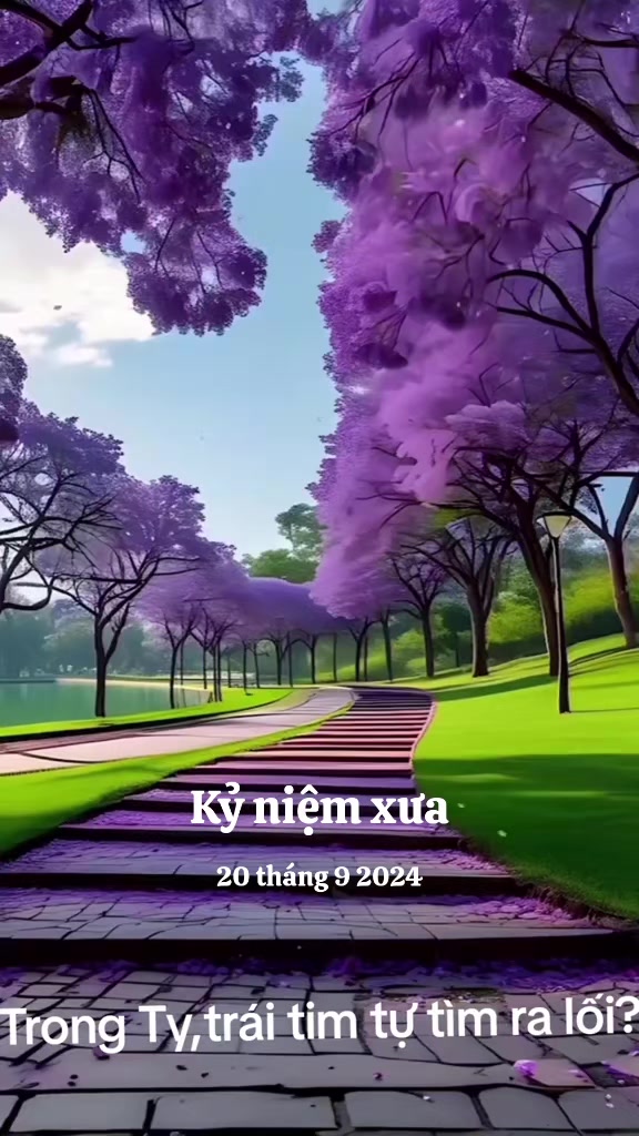 @nguyễn dung