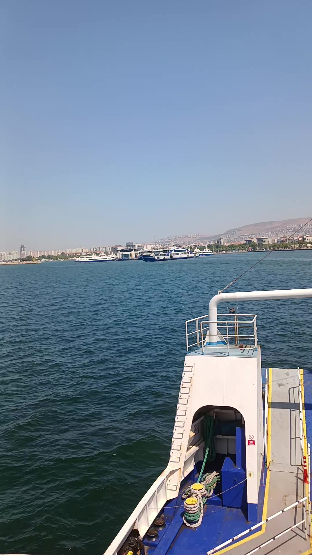 @mustafaelif