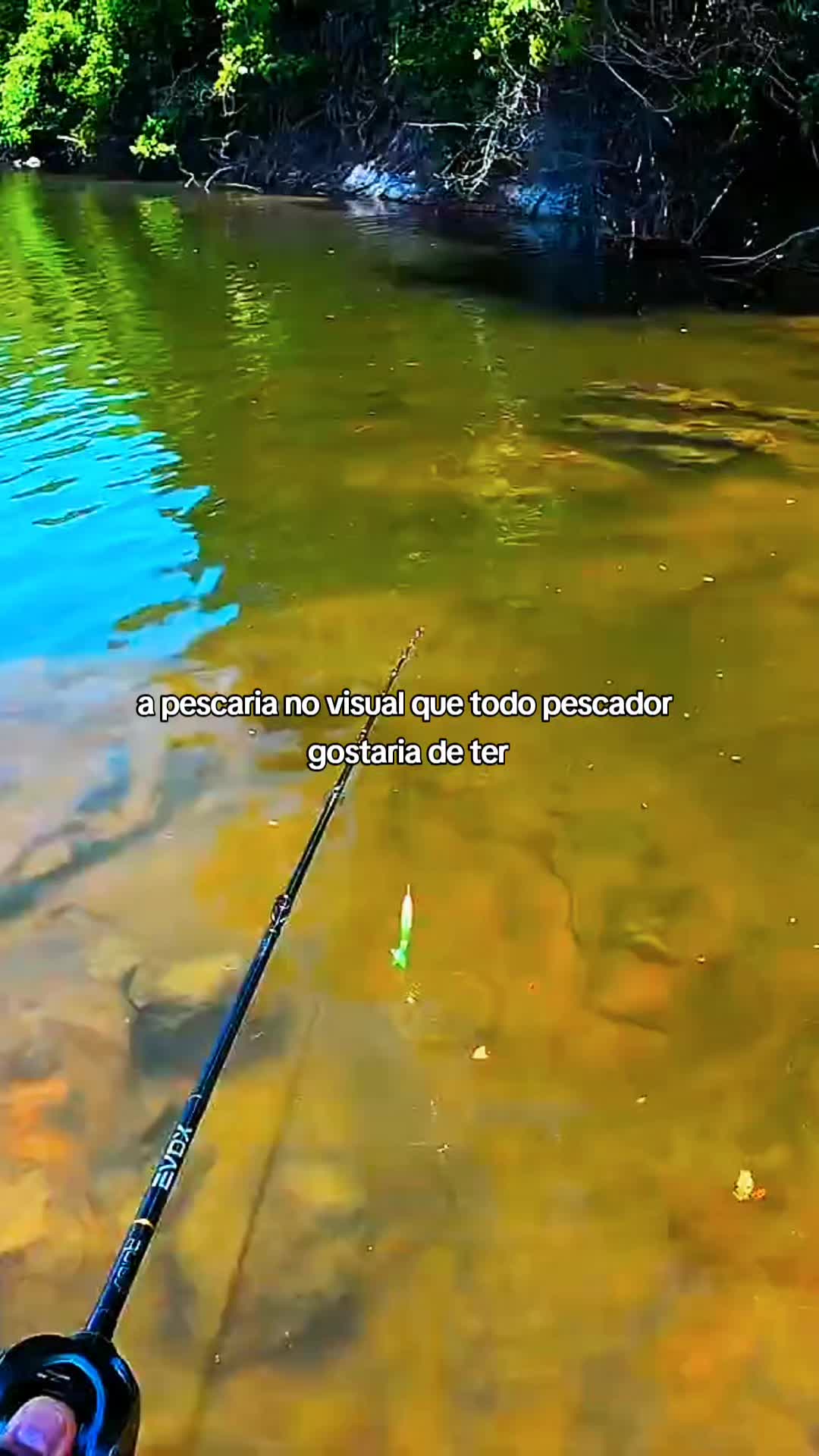 @Pesca Careiro