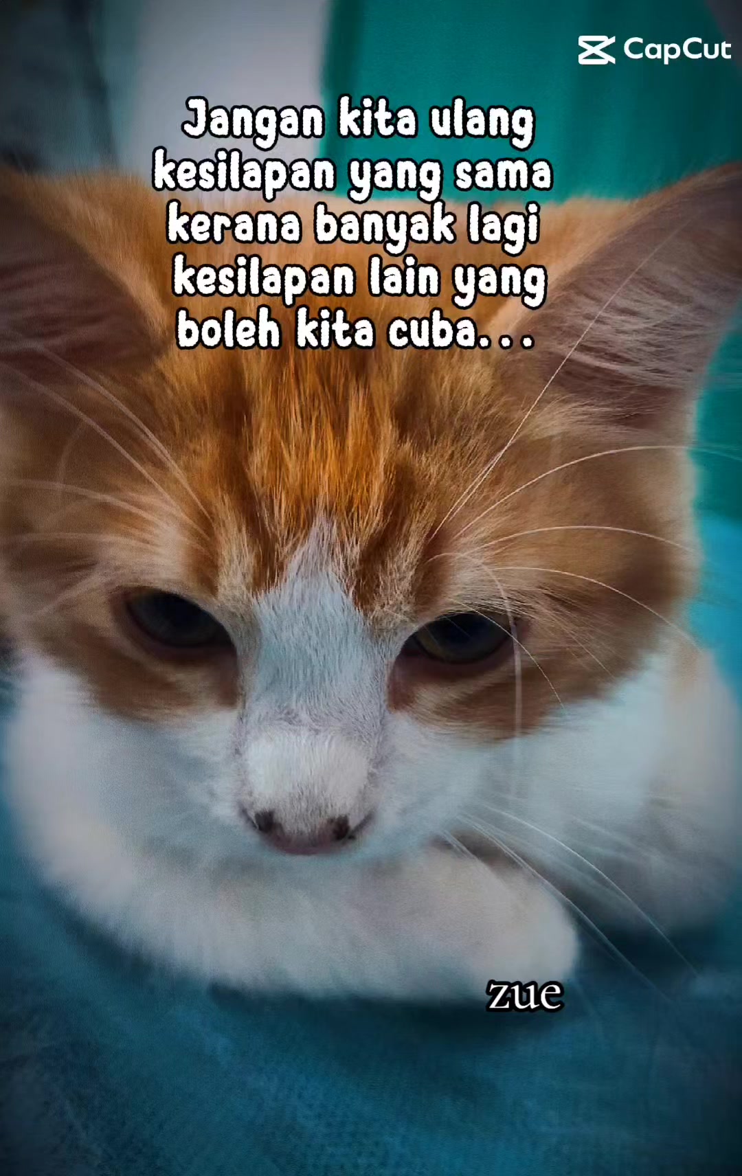 @zue1987