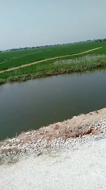 @Adv SriChand Rajput03003433204