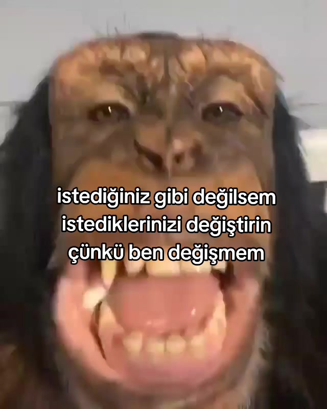 @rolland
