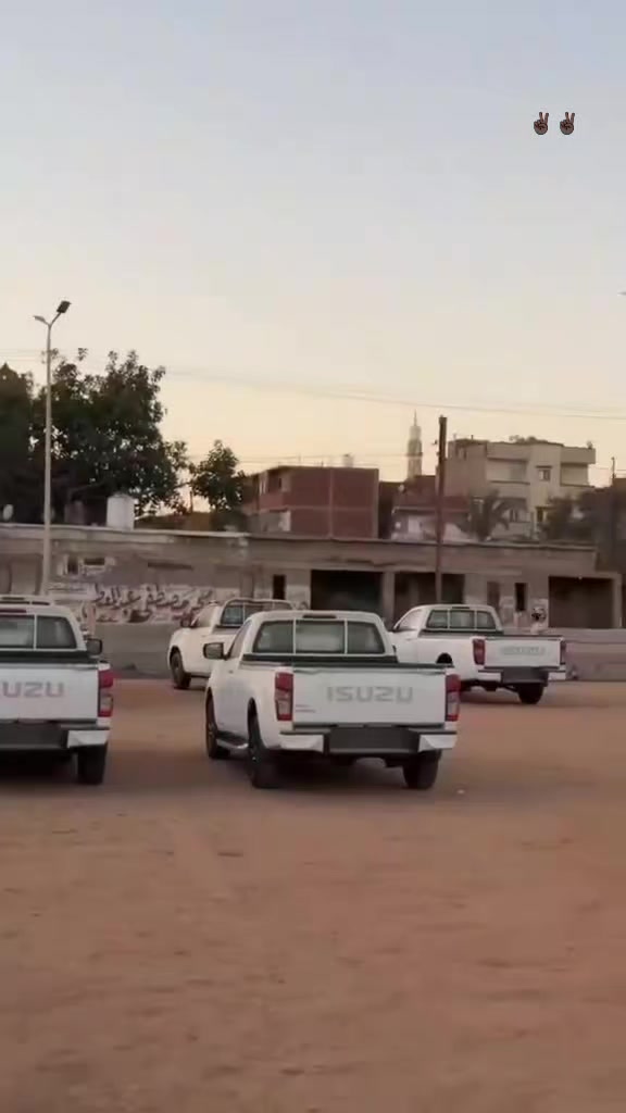 @محمد صلاح العشماوى