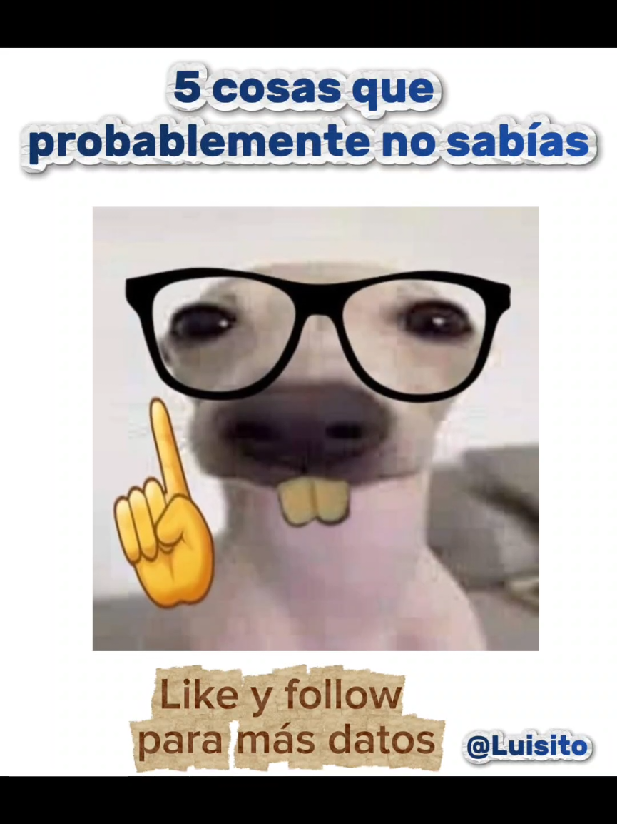 @Luisito