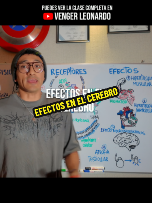 @venger.leonardo