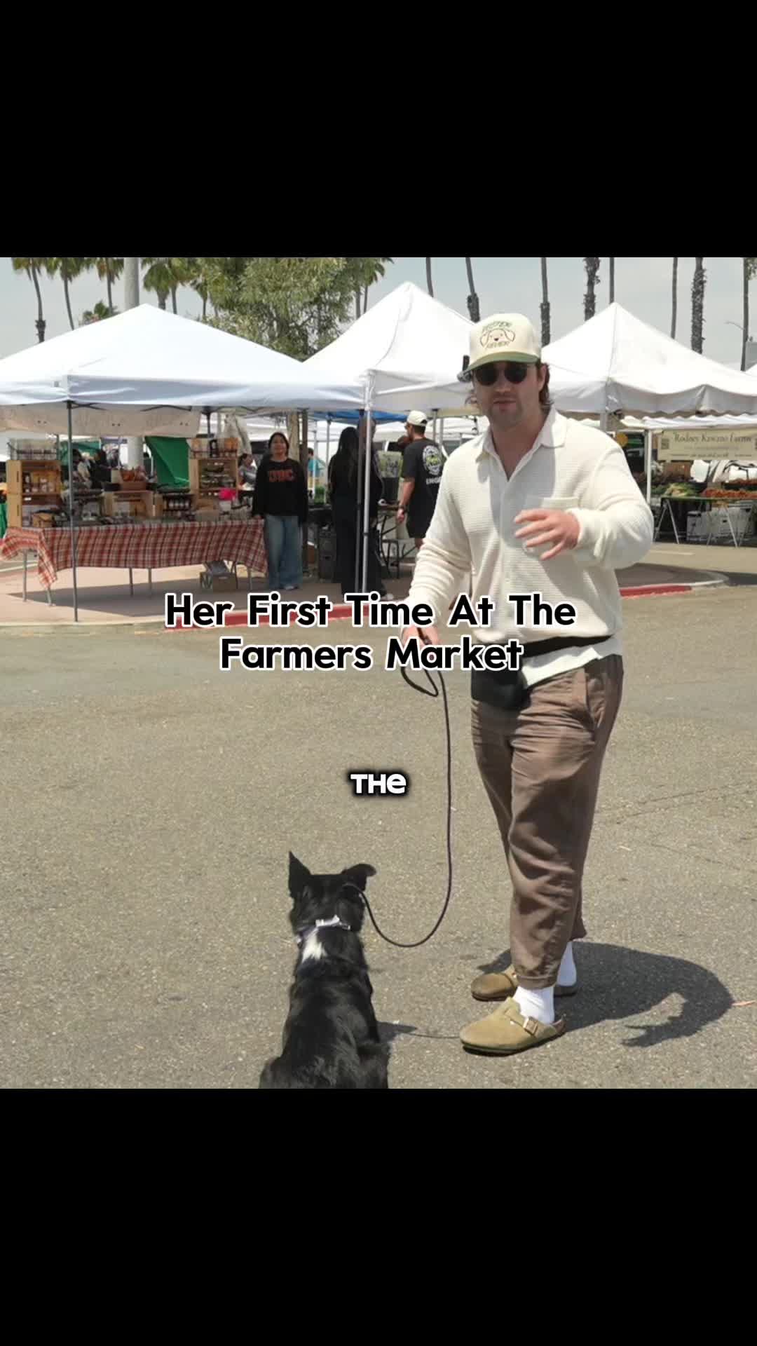 @forthedogs
