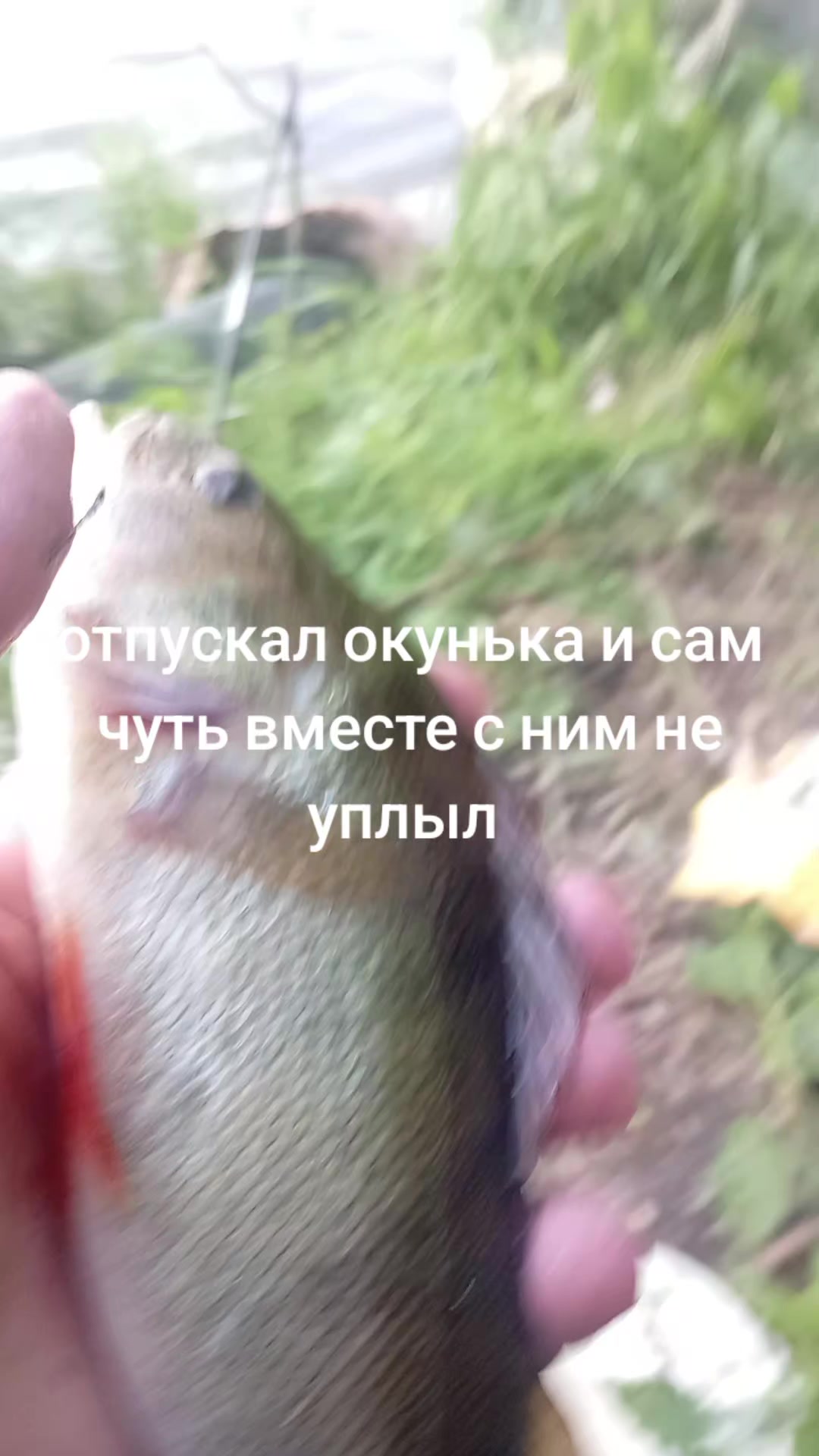 @антон азуевский