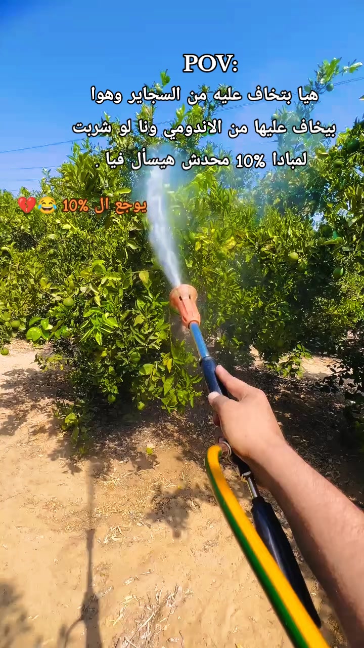 @محمد مقبل 🐺🎖️