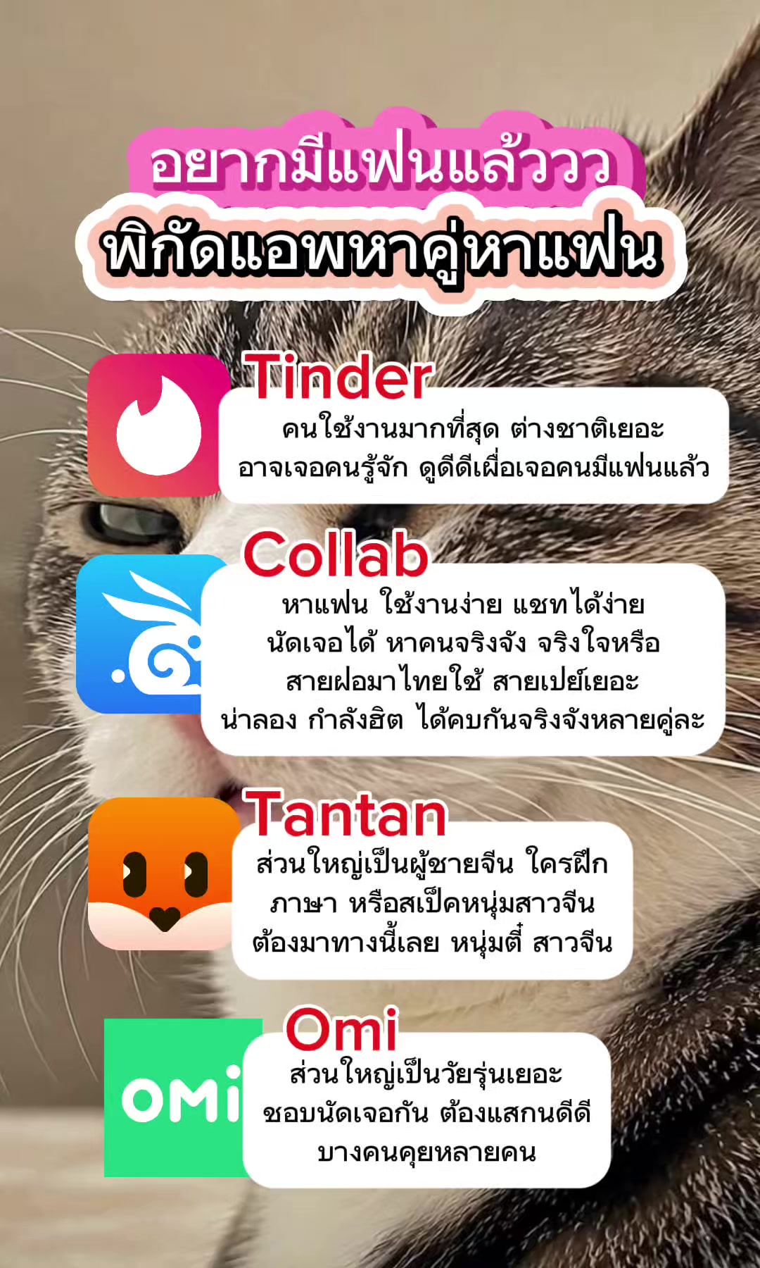 @Collab คนเหงา