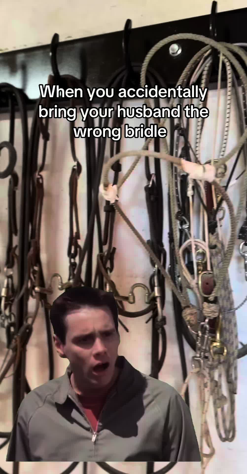 @SWEDE