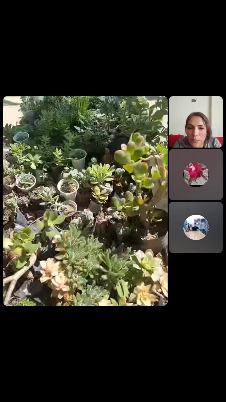 @yoly_val💕 TIPS