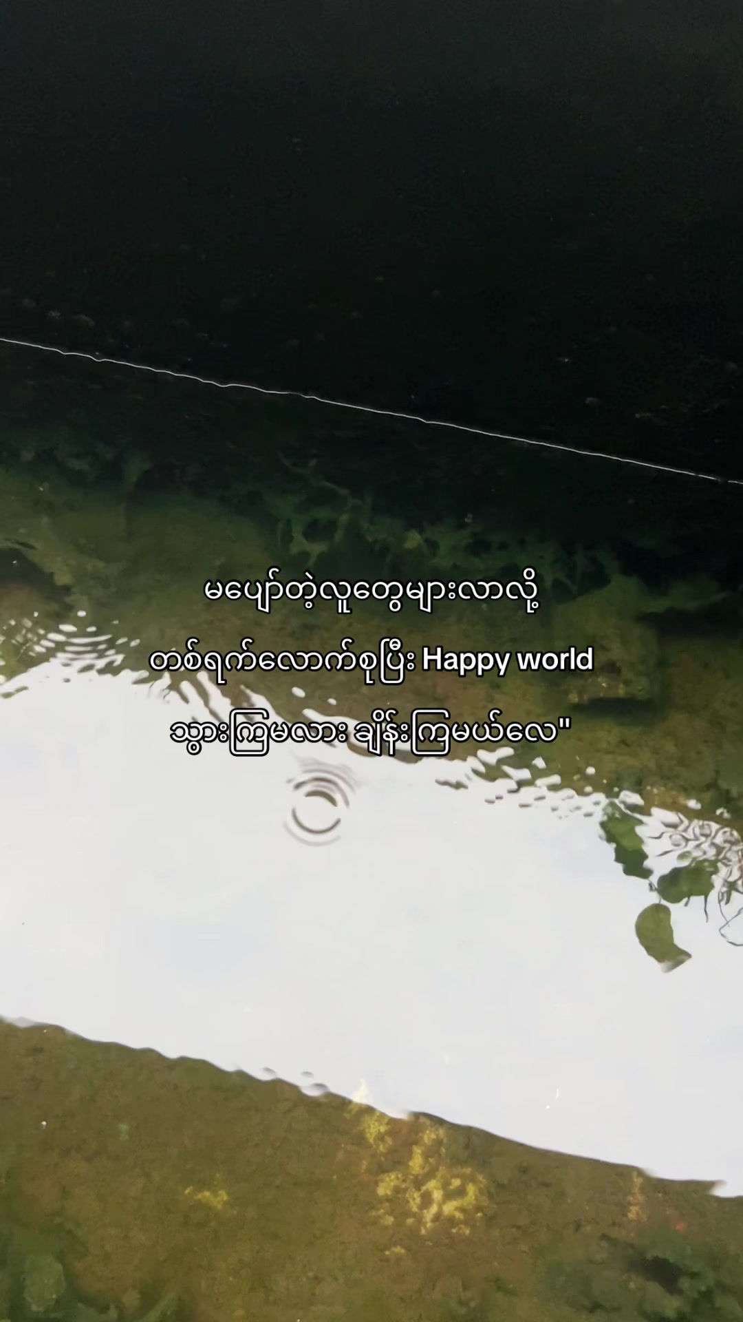 @๐๐ข๐ซ๐ (แแฎแแฌ)๐ฅ