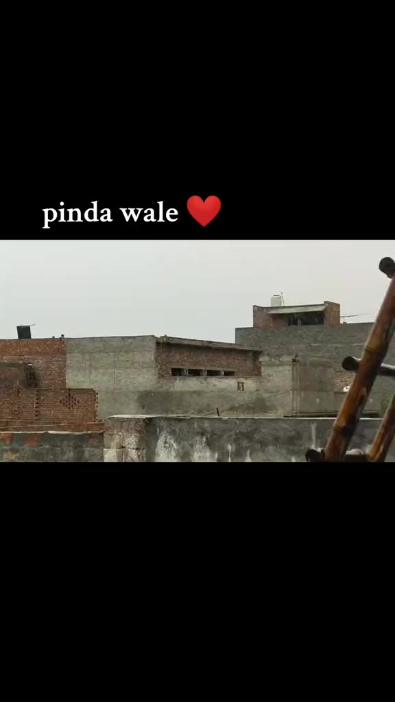 @❤️🩹شانی سندھو 🌱🌾
