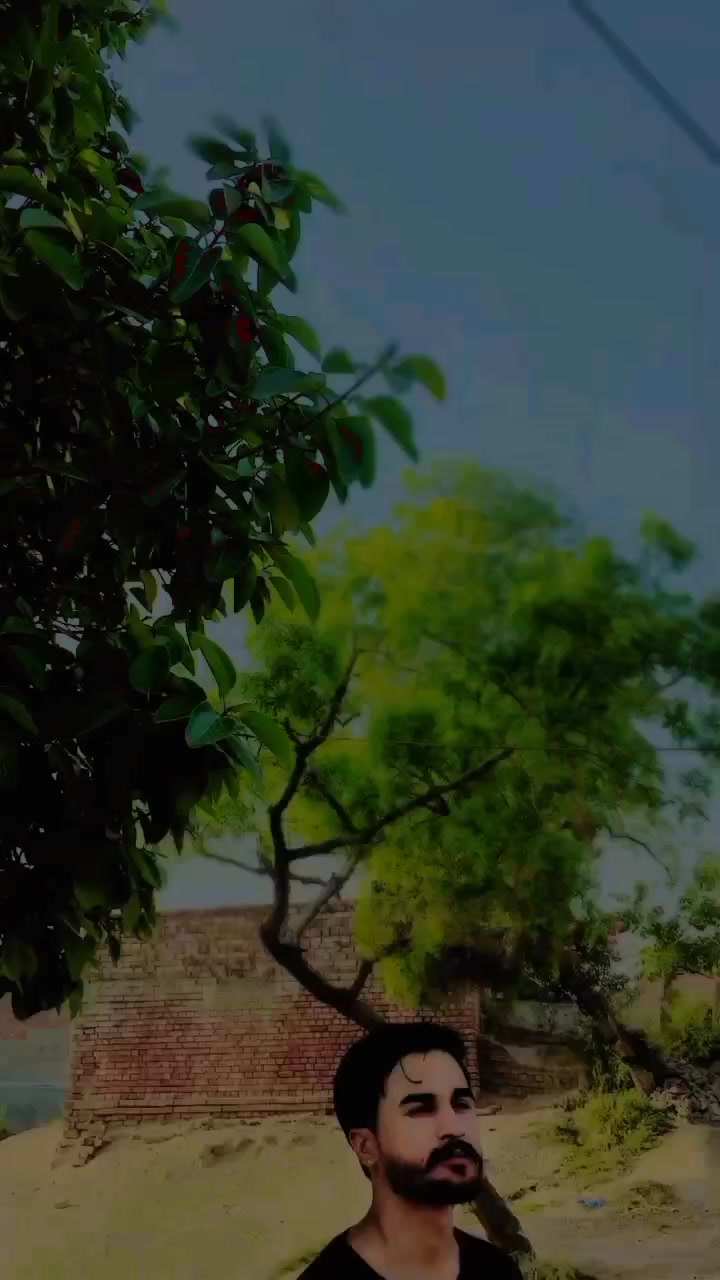 @@𝘾𝙡𝙖𝙨𝙨𝙮_(𝙎𝙤𝙣𝙮)