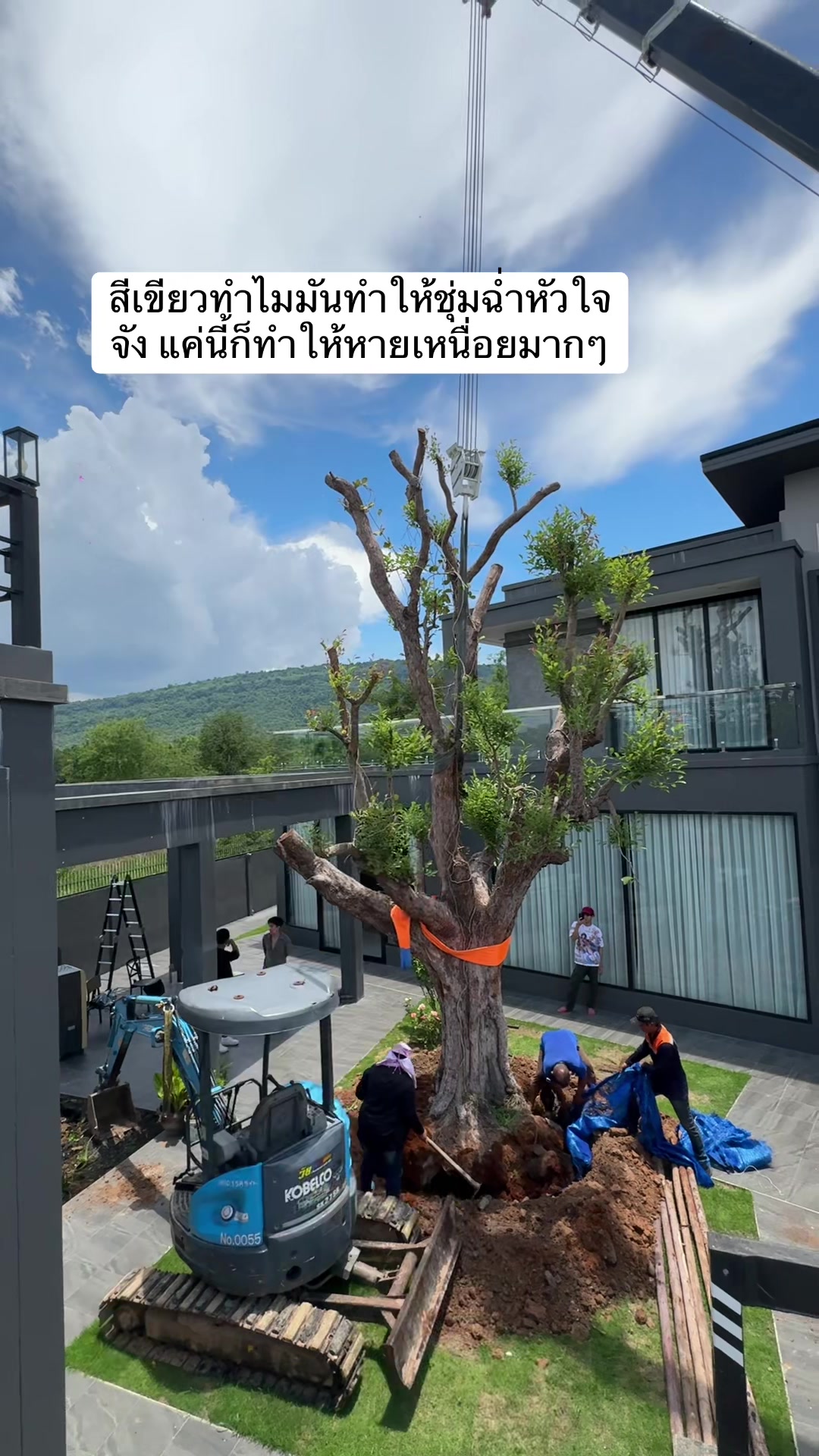 @Toey Apiwat Boonanak