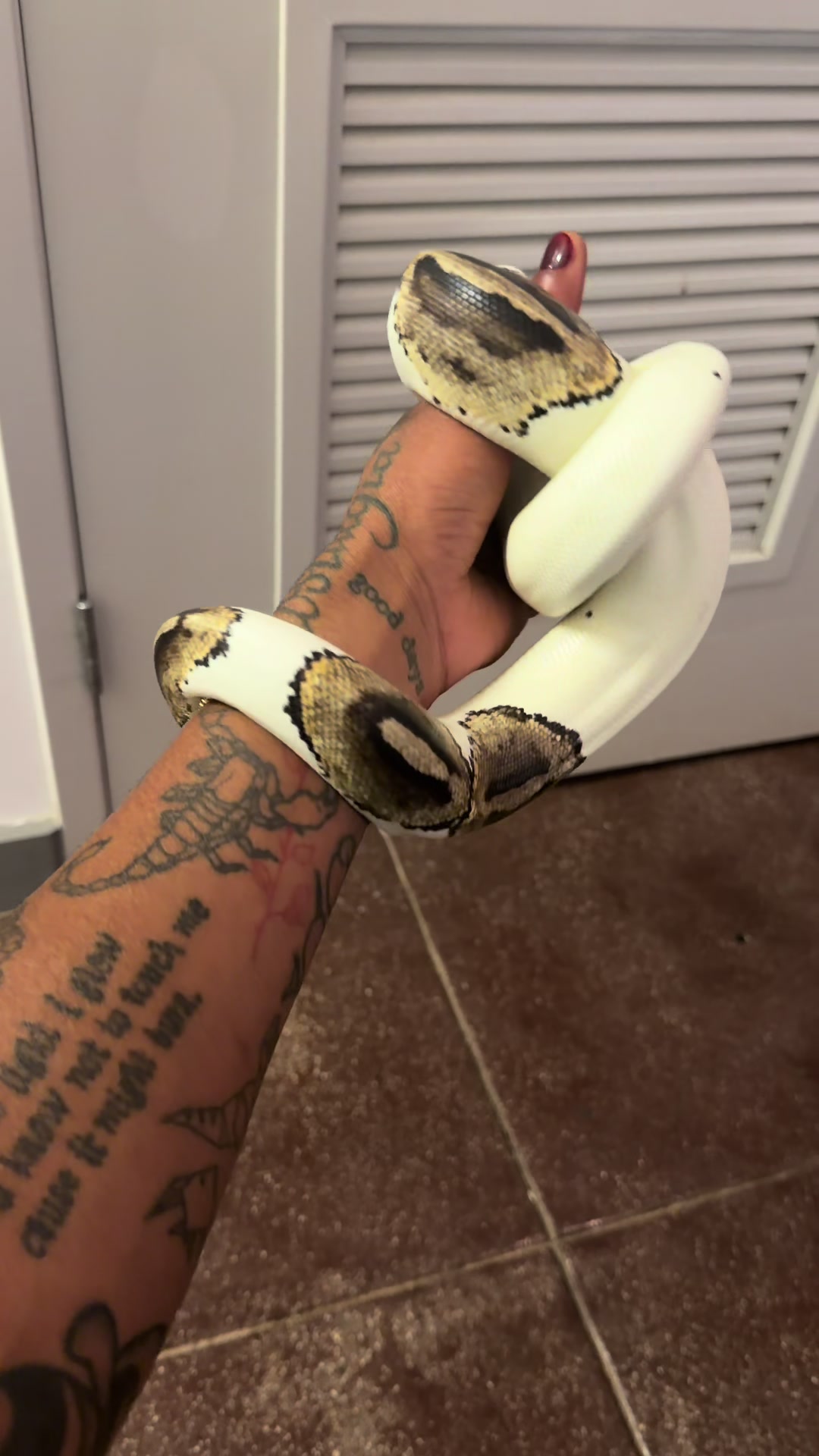 @Jalen Dominique
