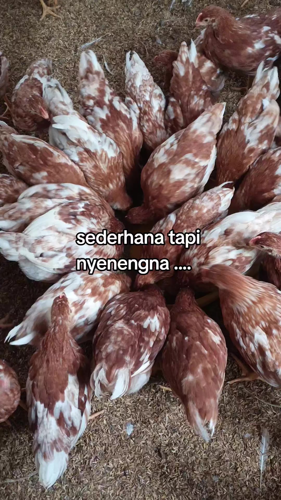 @Dewi Irmaaa