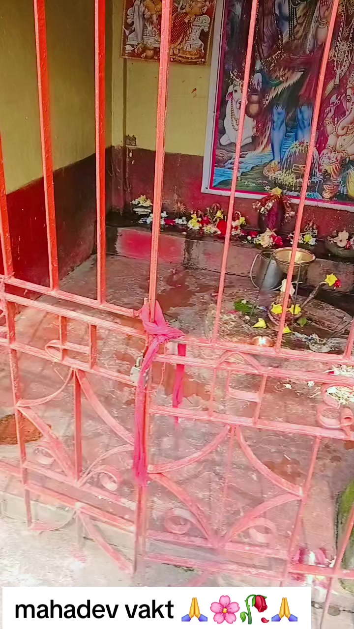 @SharbanSunitaRoyYadav861🤞❣