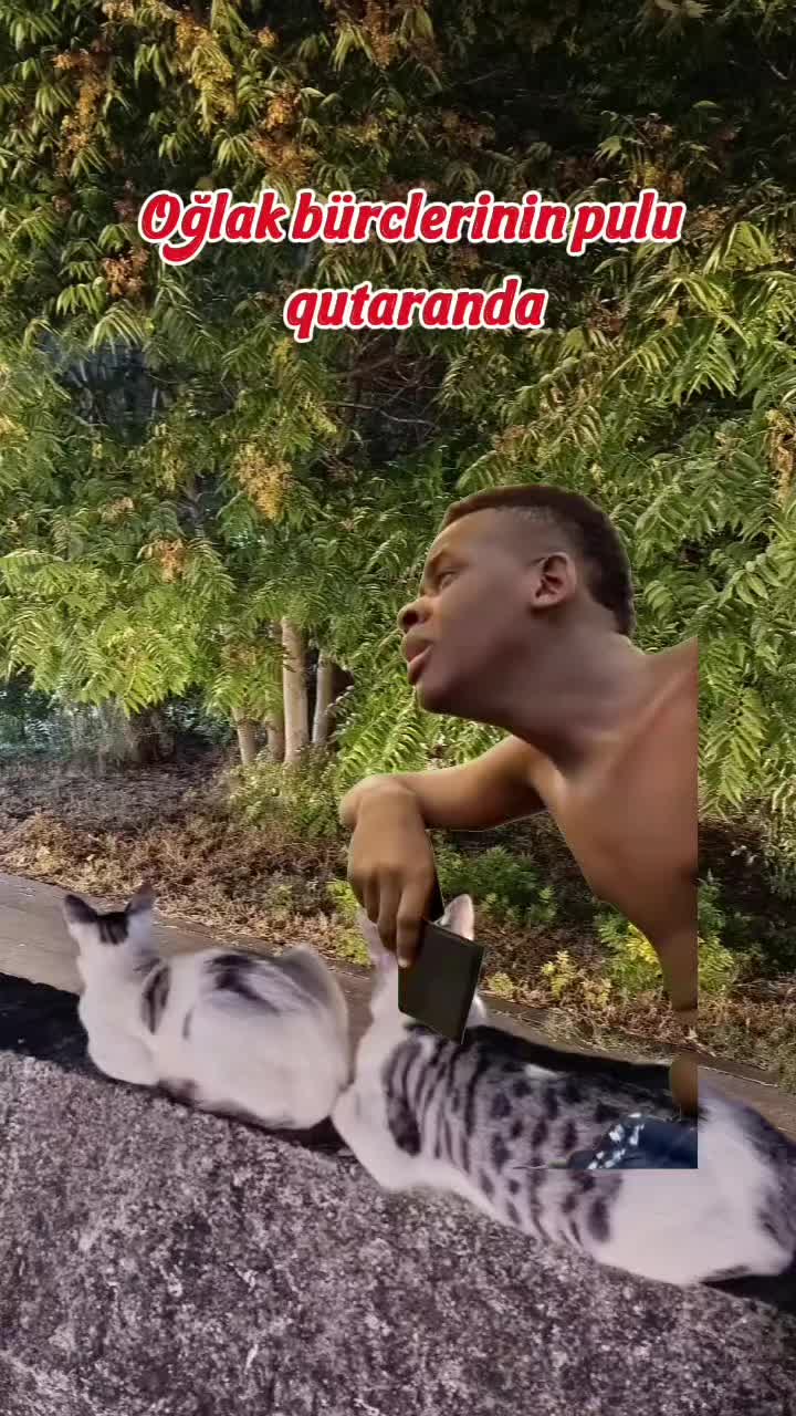 @🌟🐦🔥🇭 🇦 🇾 🇦 🇱 🐦🔥🌟