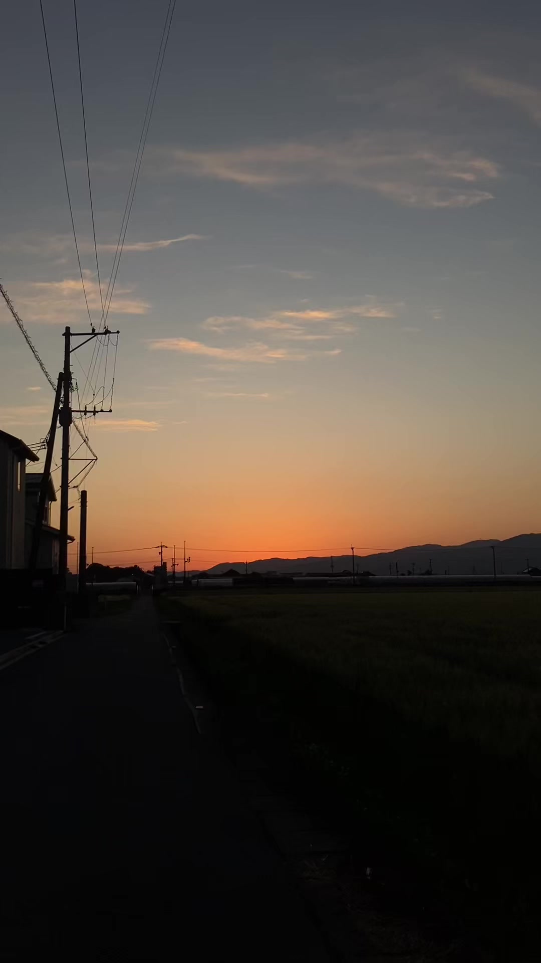 @♪