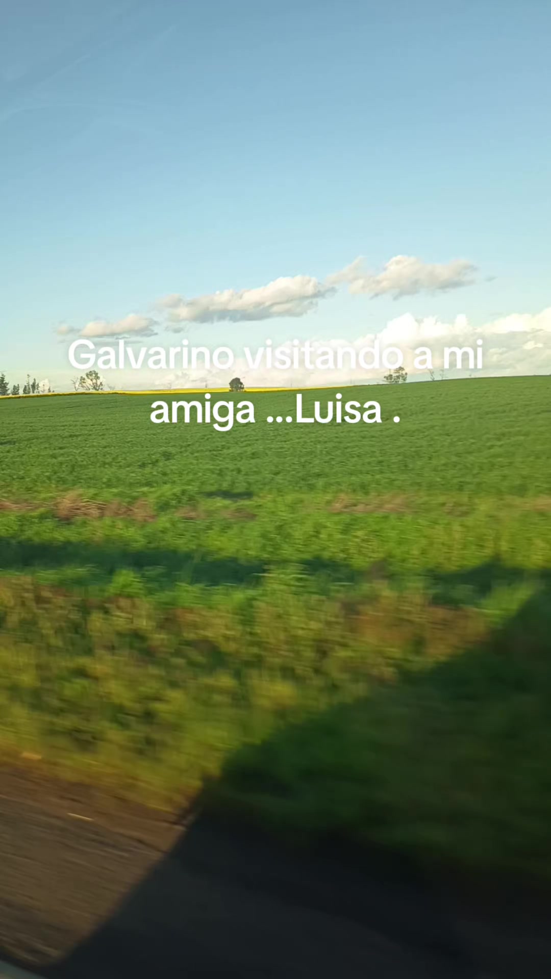 @martamillan772