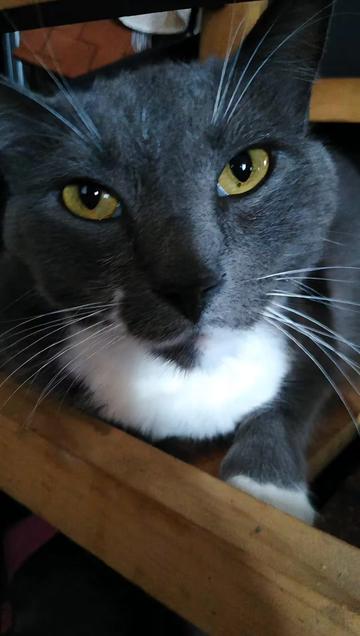 @🖤 LUNA 🖤