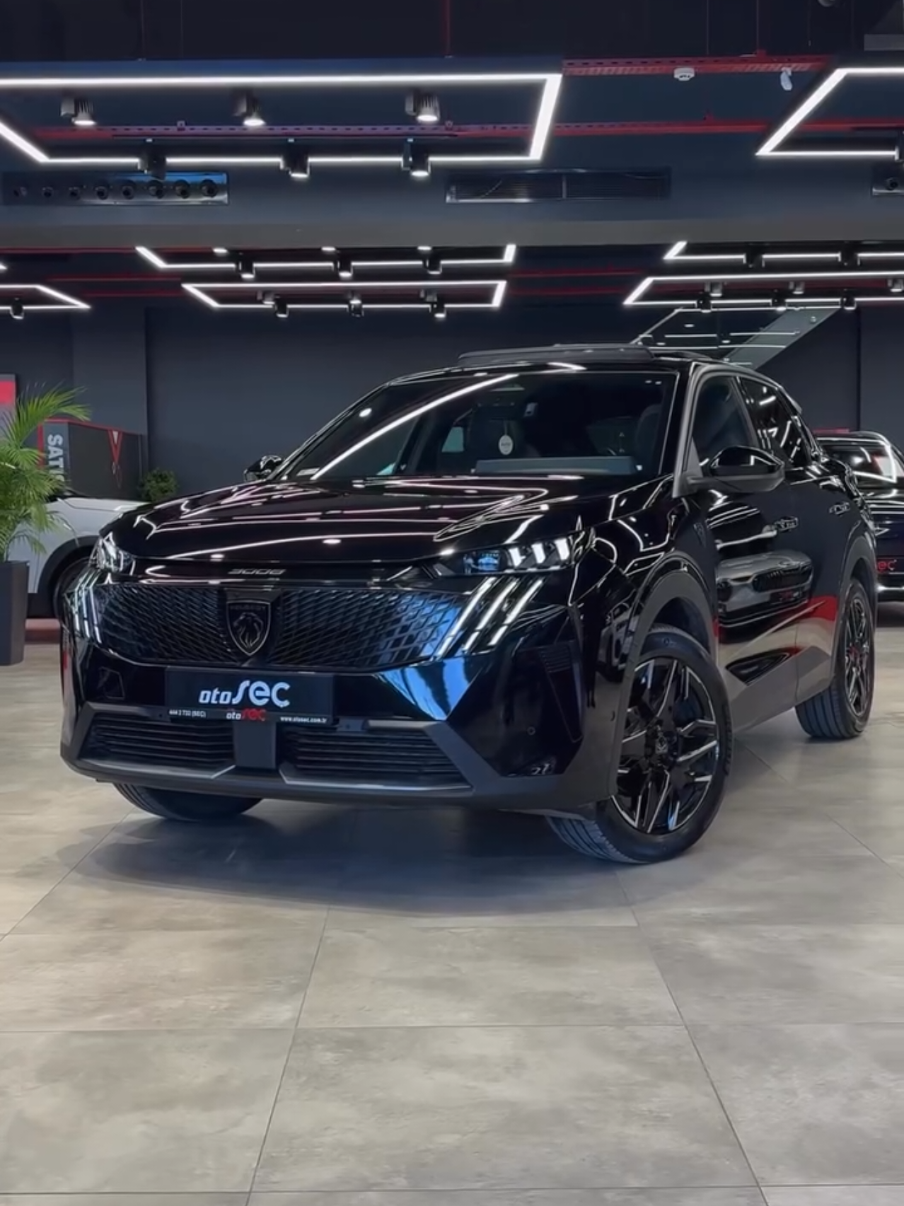 @Kia Peugeot Toyota
