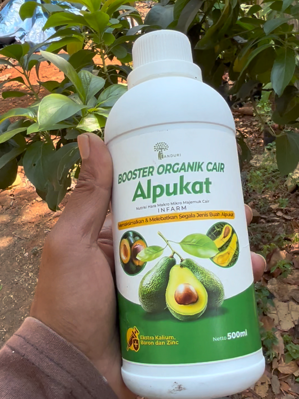 @GardeningFruits