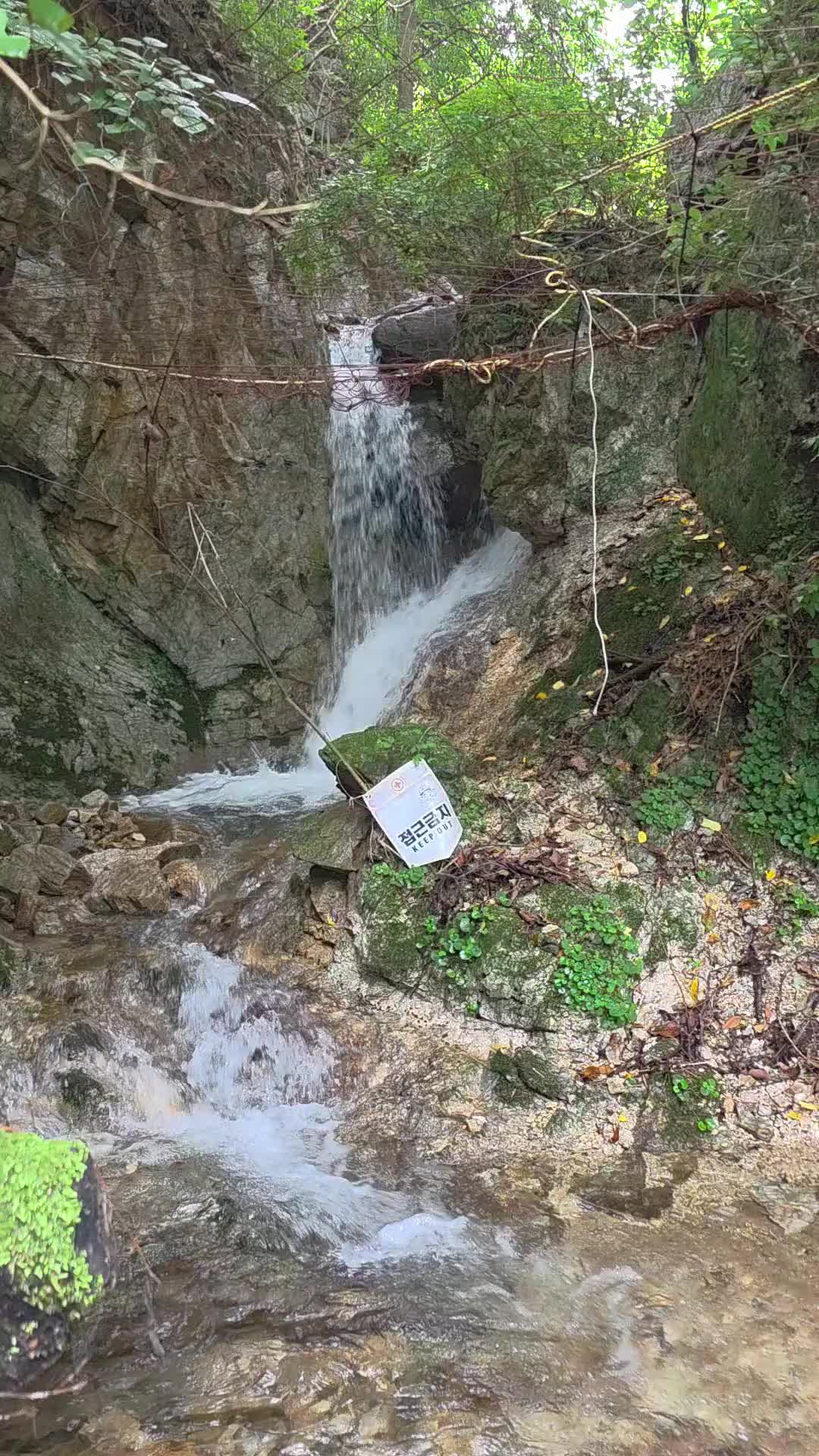 @이소희(오산)