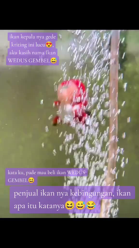 @Icha Cancer🦀🌊