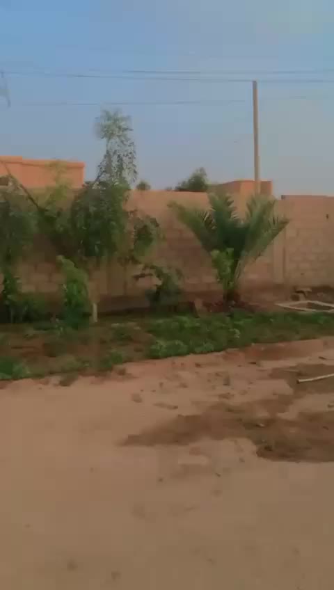 @أبو إيهم