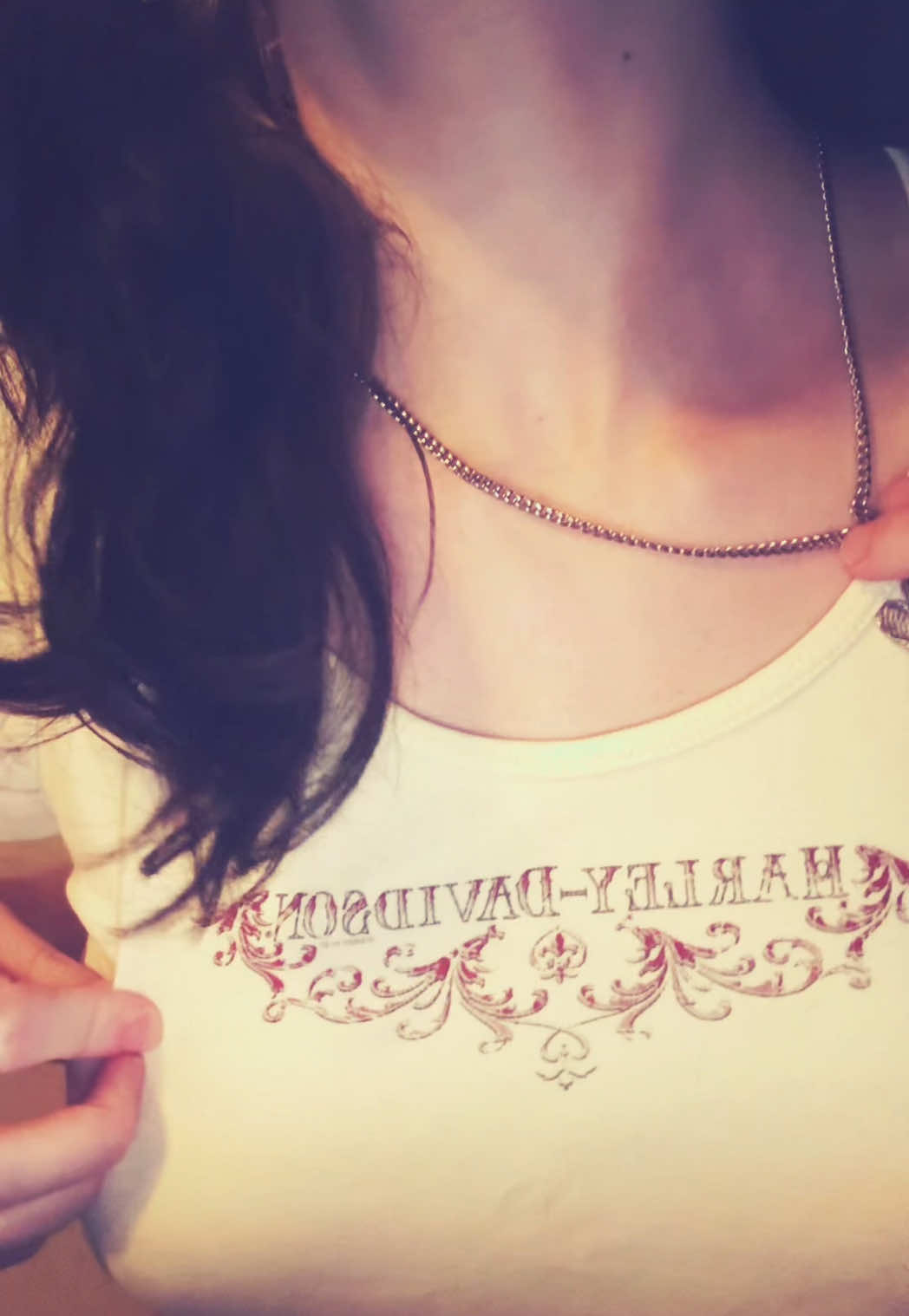 @ฅ^>ᵥ_ᵥ<^ฅ