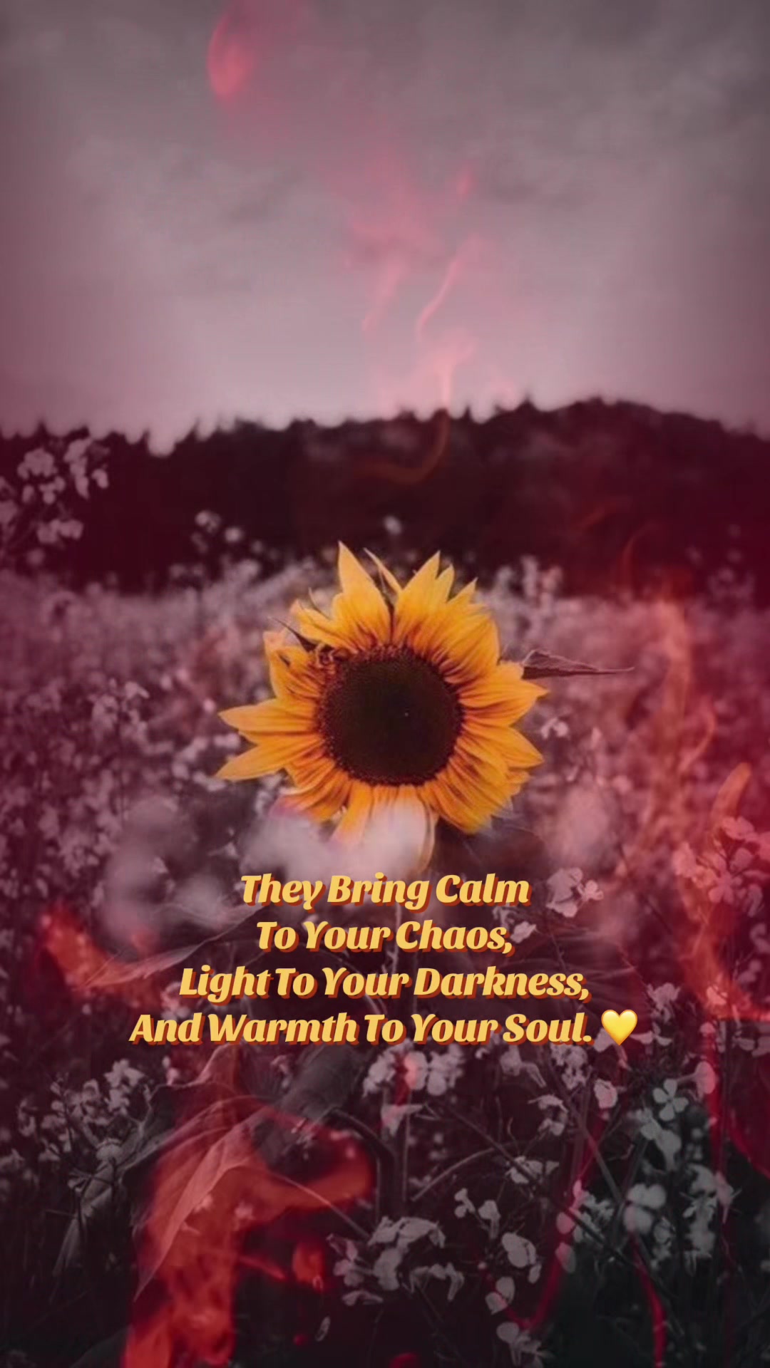 @🌻💚🐆🐿️SunFlowerLuvR🖤🥀🤘🌻
