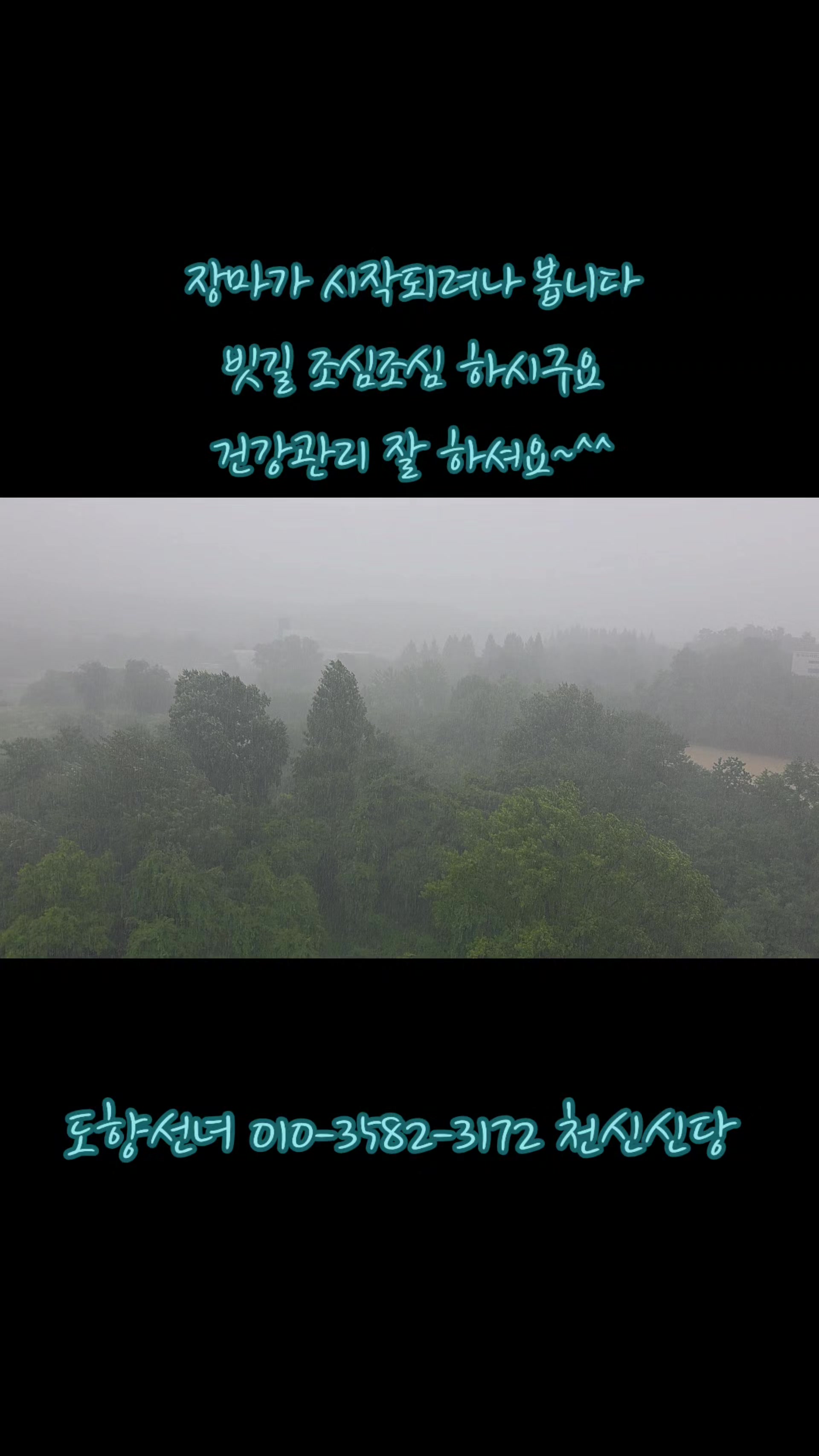 @도향선녀