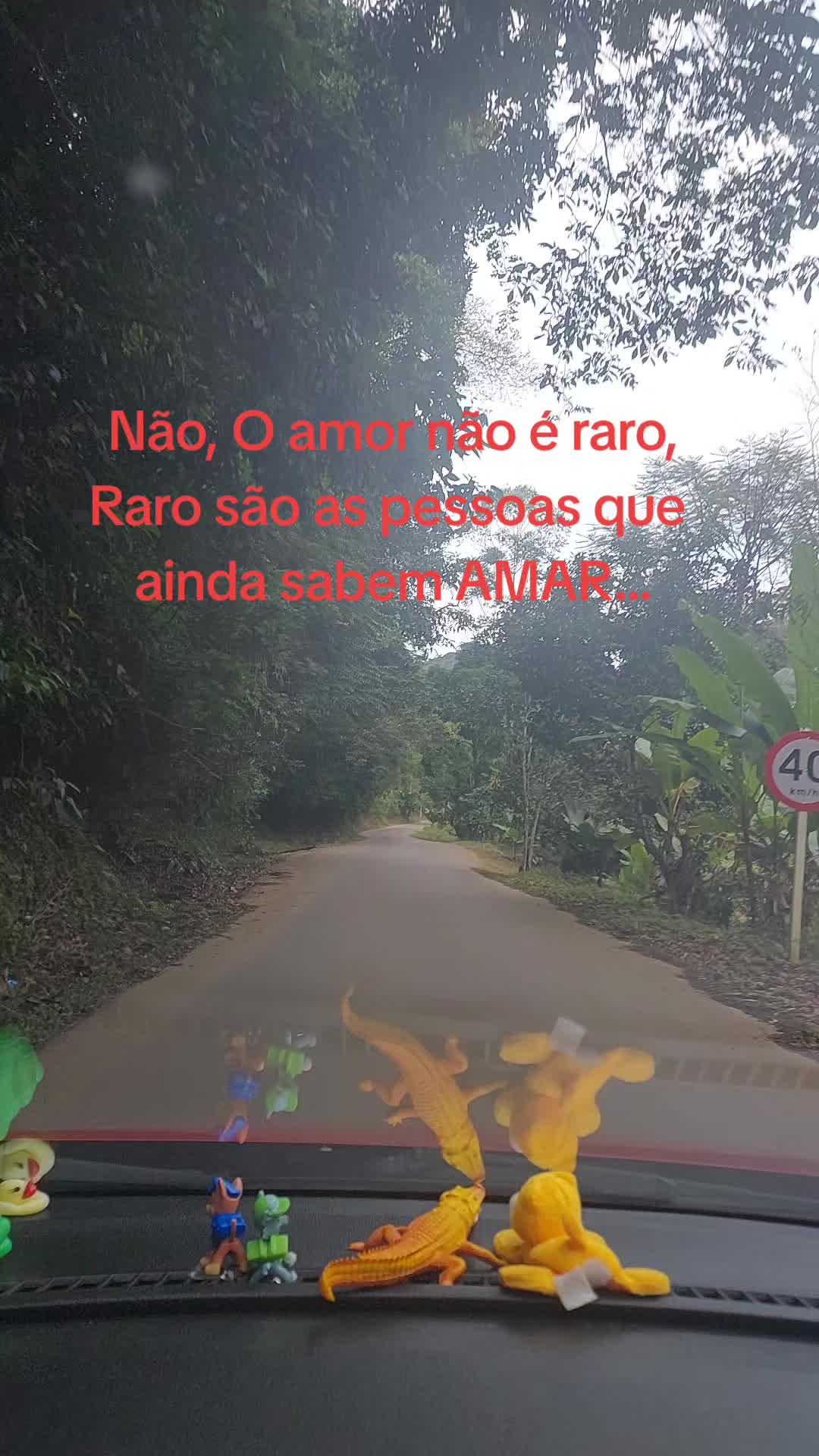 @Carla Santos