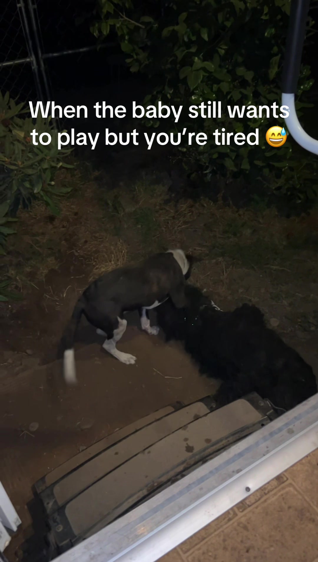 @Devinne Langan