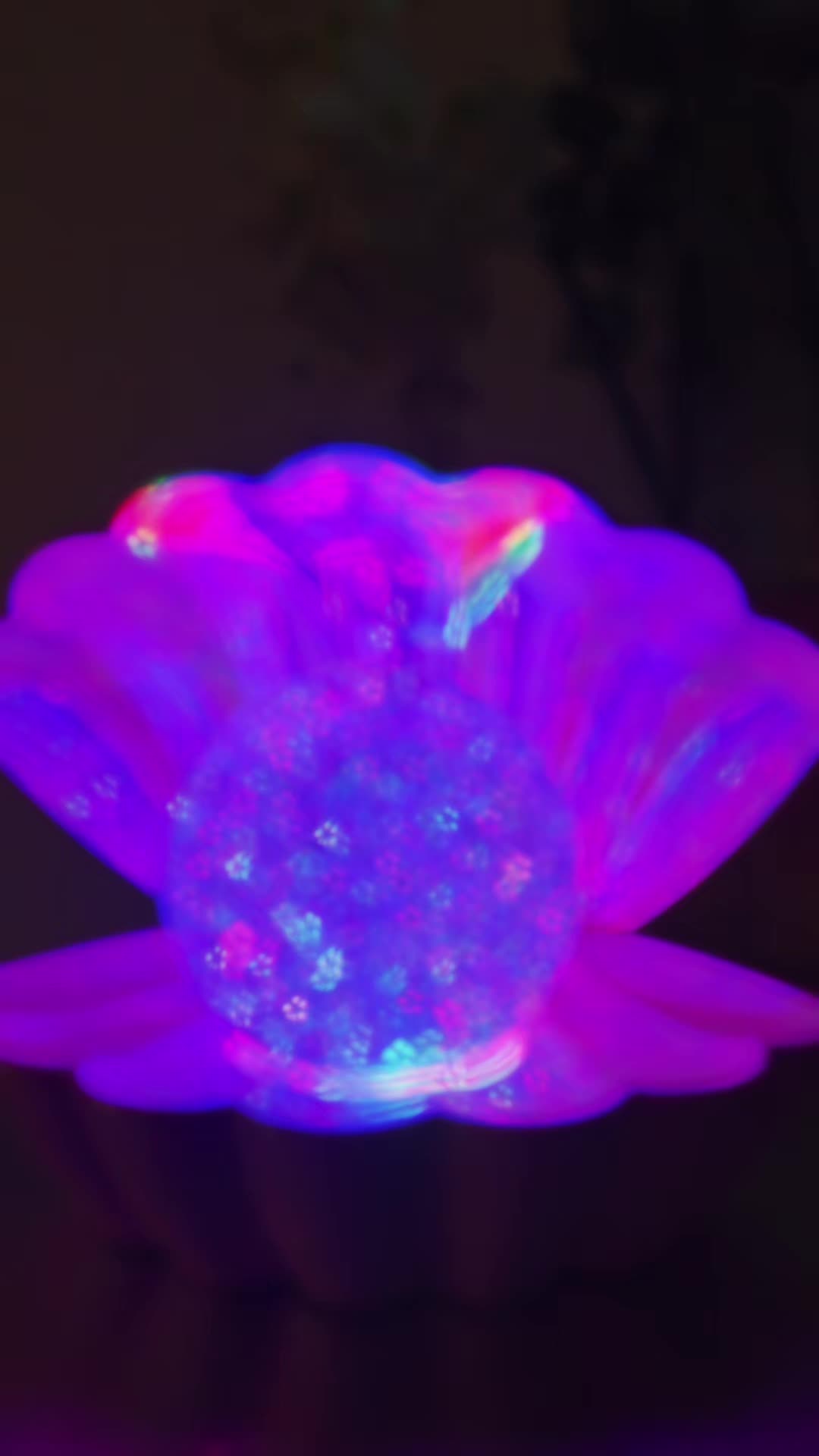 @𝓣𝓪𝓶𝓮𝓻𝓪 𝓒𝓸𝓵𝓵𝓲𝓼𝓸𝓷