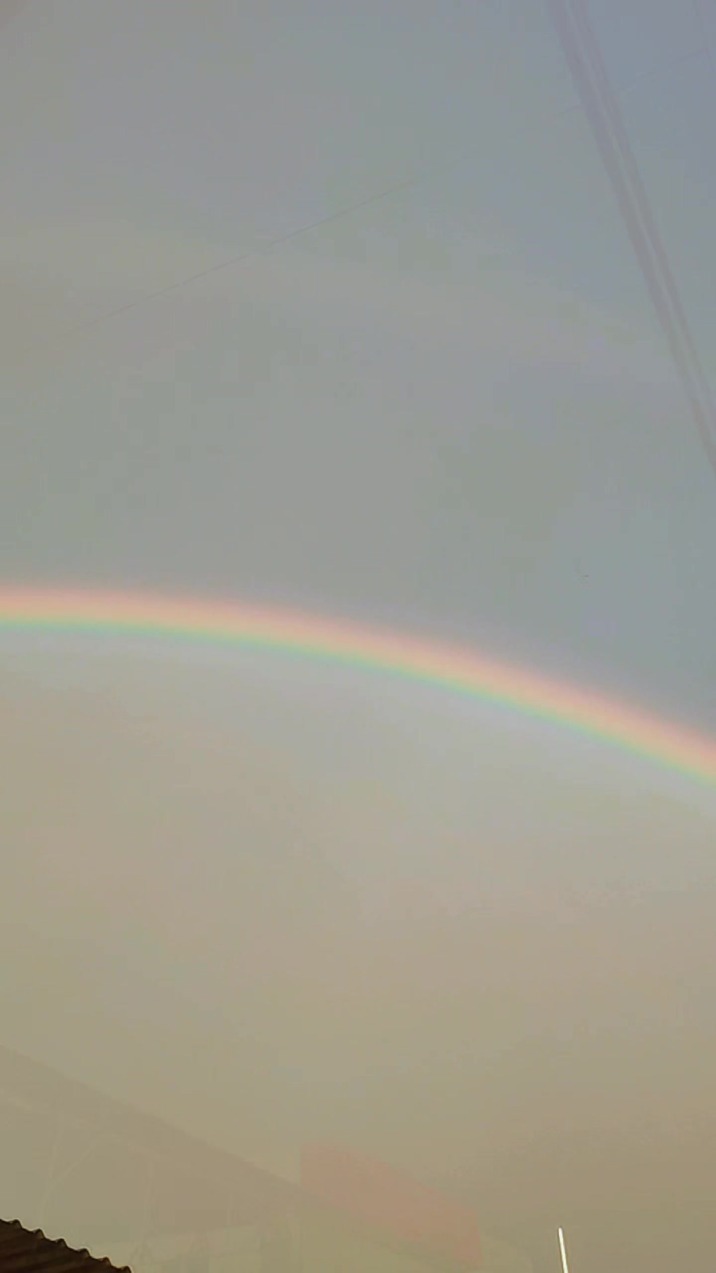 @Que bonito es lo 🐺 bonito🤠