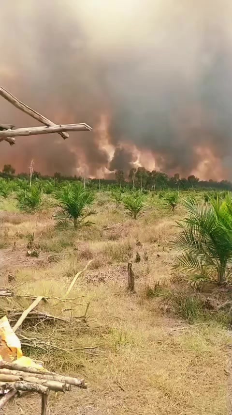 @Putraborneo30