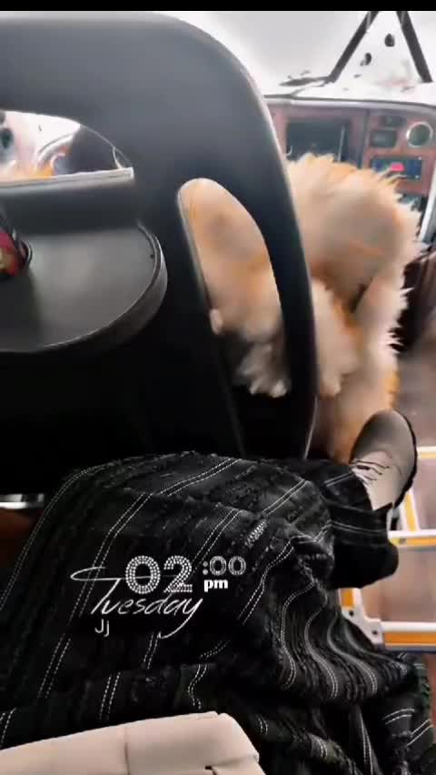 @بنت اليمن 𓅔🇾🇪