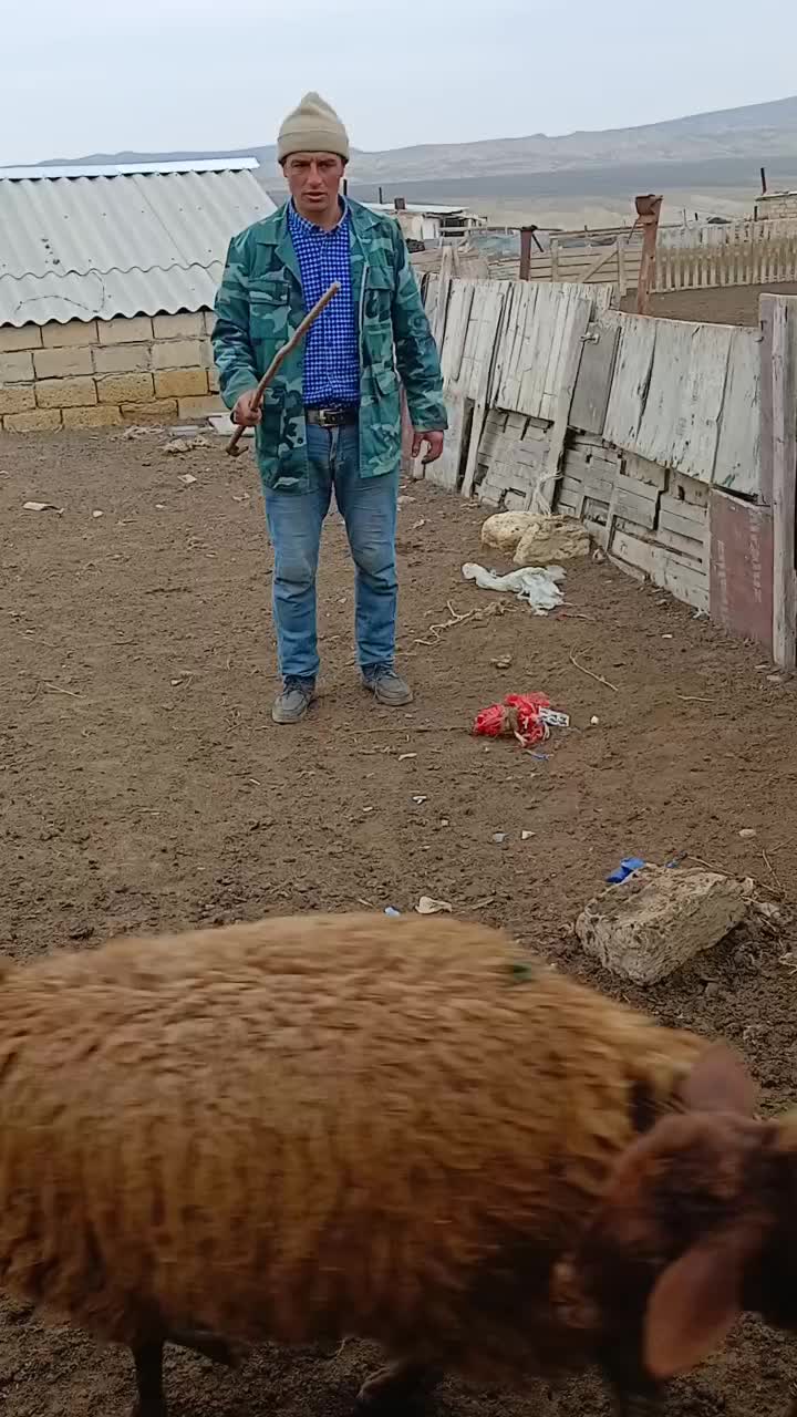 @Əlbəndə56