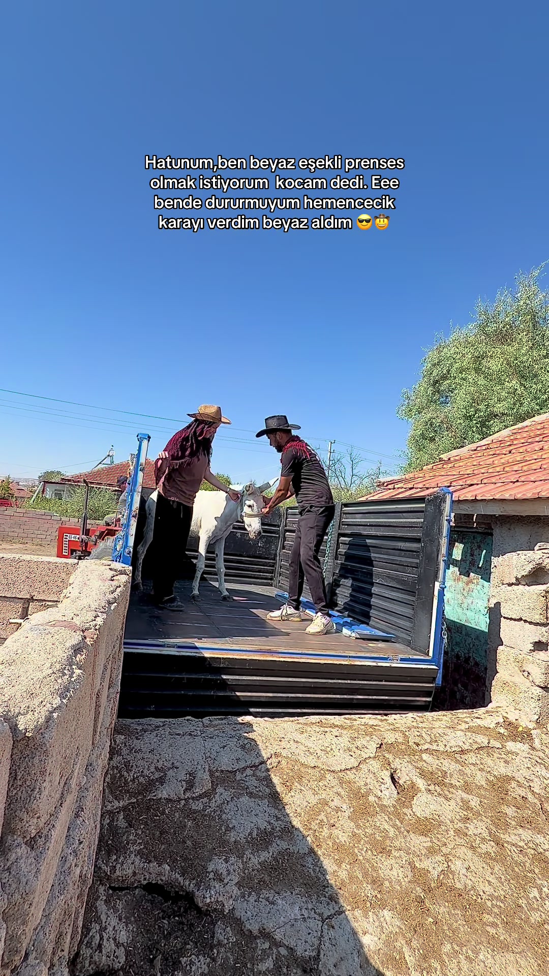 @𝐌𝐔𝐒𝐓𝐀𝐅𝐀 𝐊𝐀𝐑𝐀 🤠