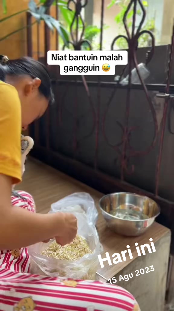 @bio_bege