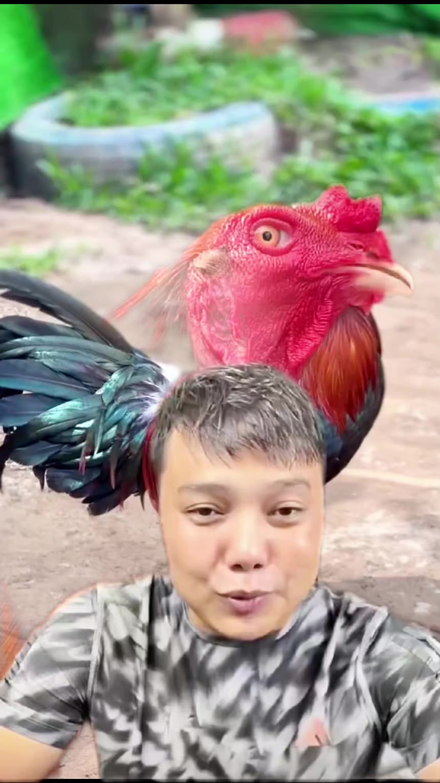 @tuong Vy 1991