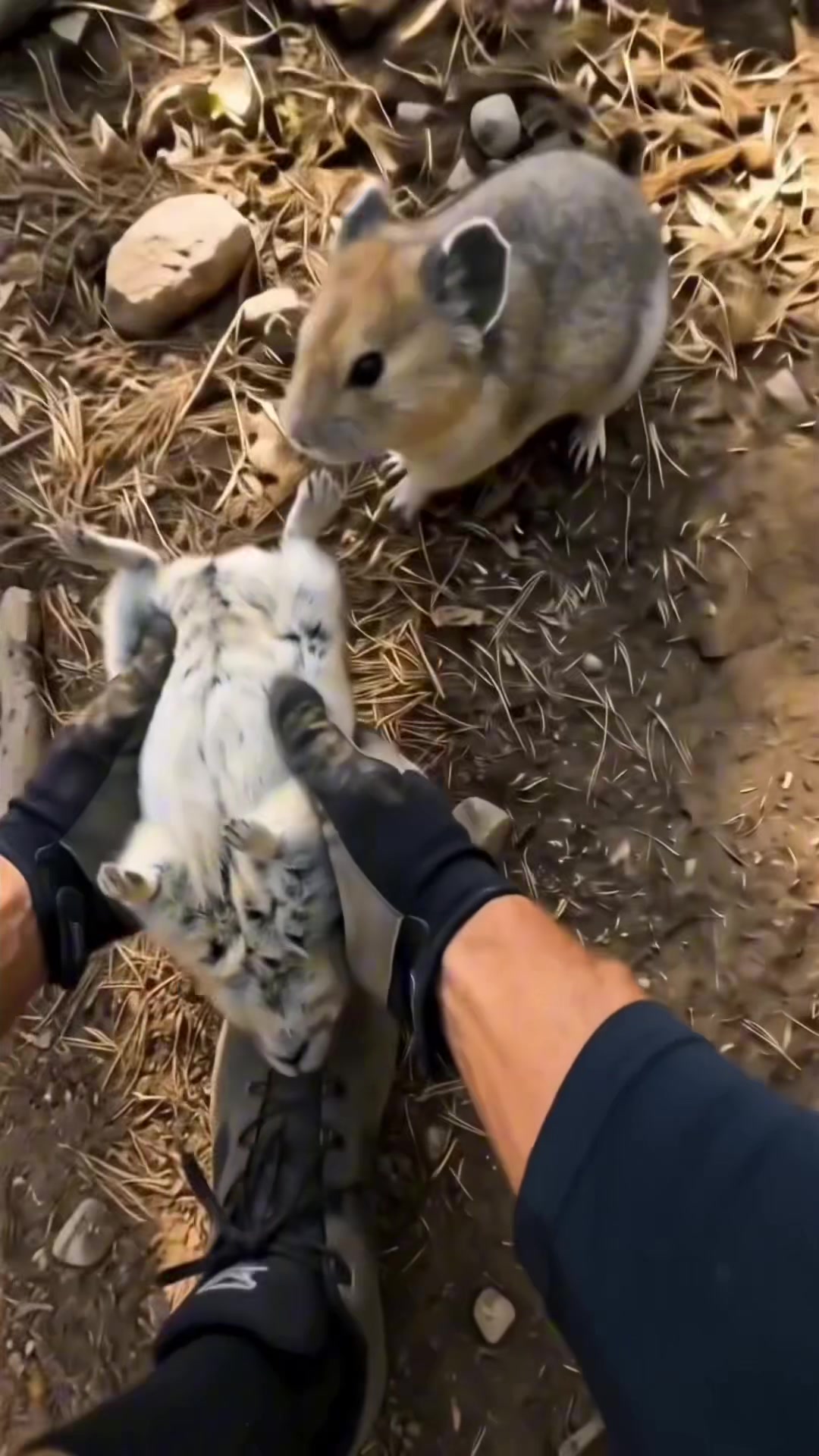 @aigeographic