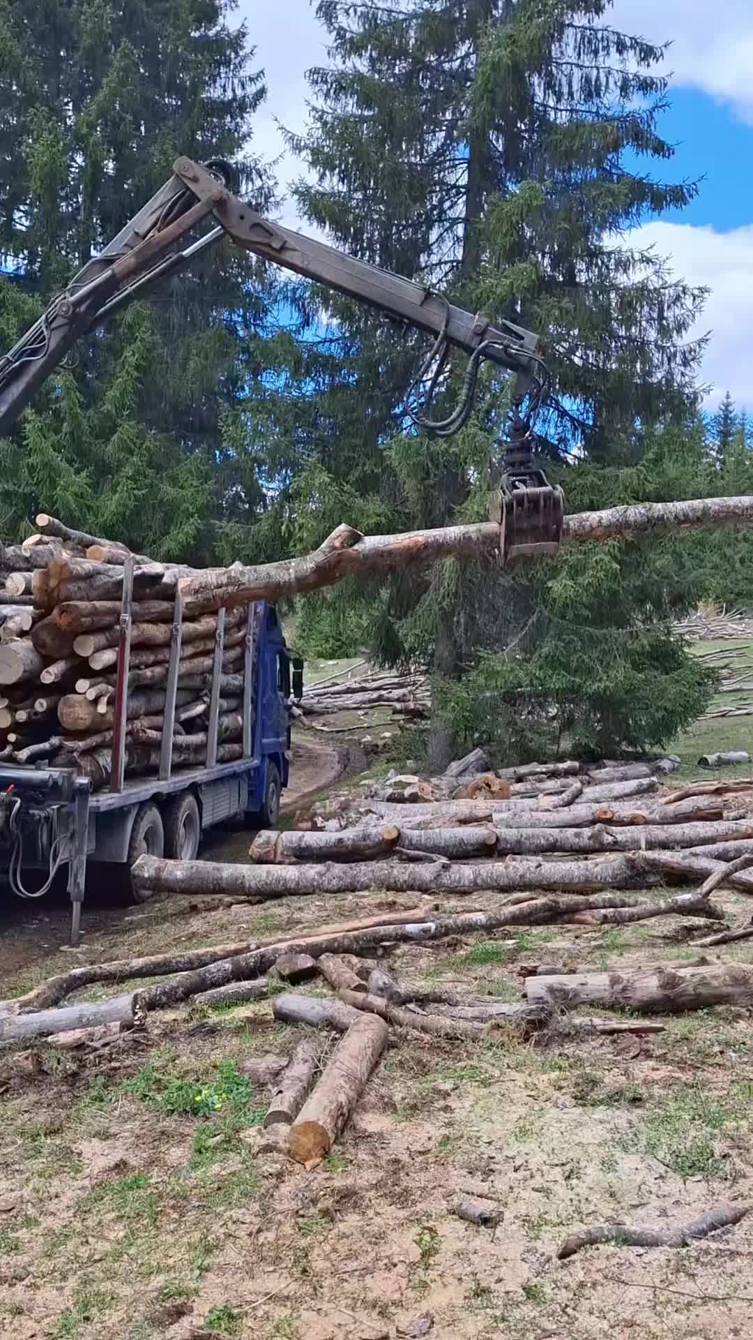@🌲VRANIĆ🌲