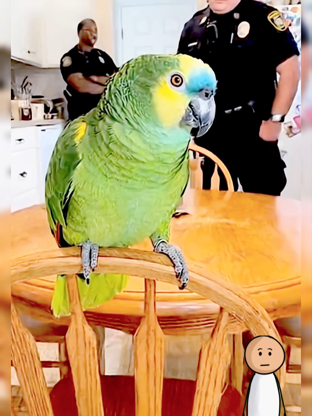 @Funny Animal Voiceover