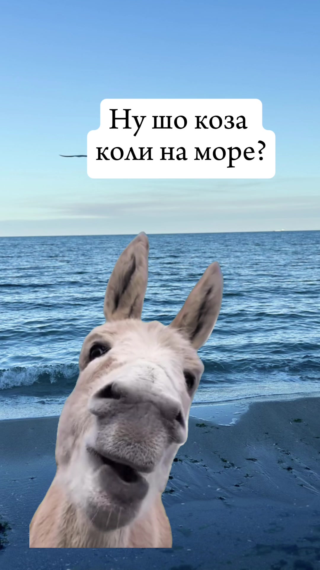 @❤️🔥Кохання❤️🔥