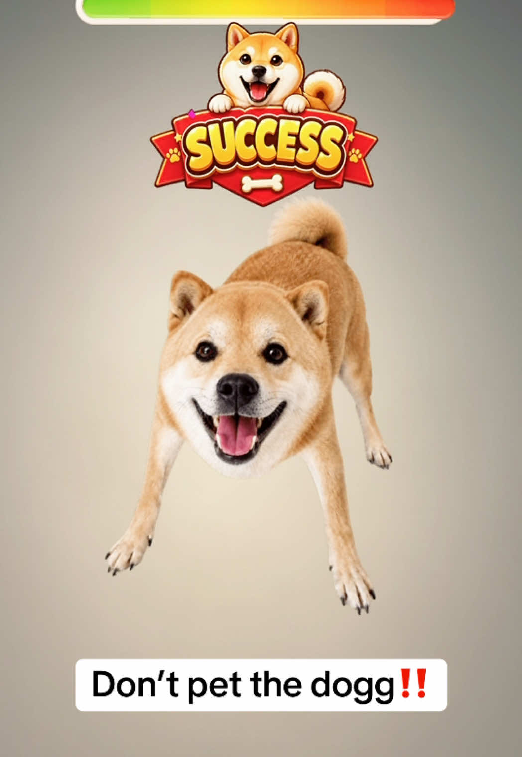 @๐๐๐ซถ๐ป๐๐