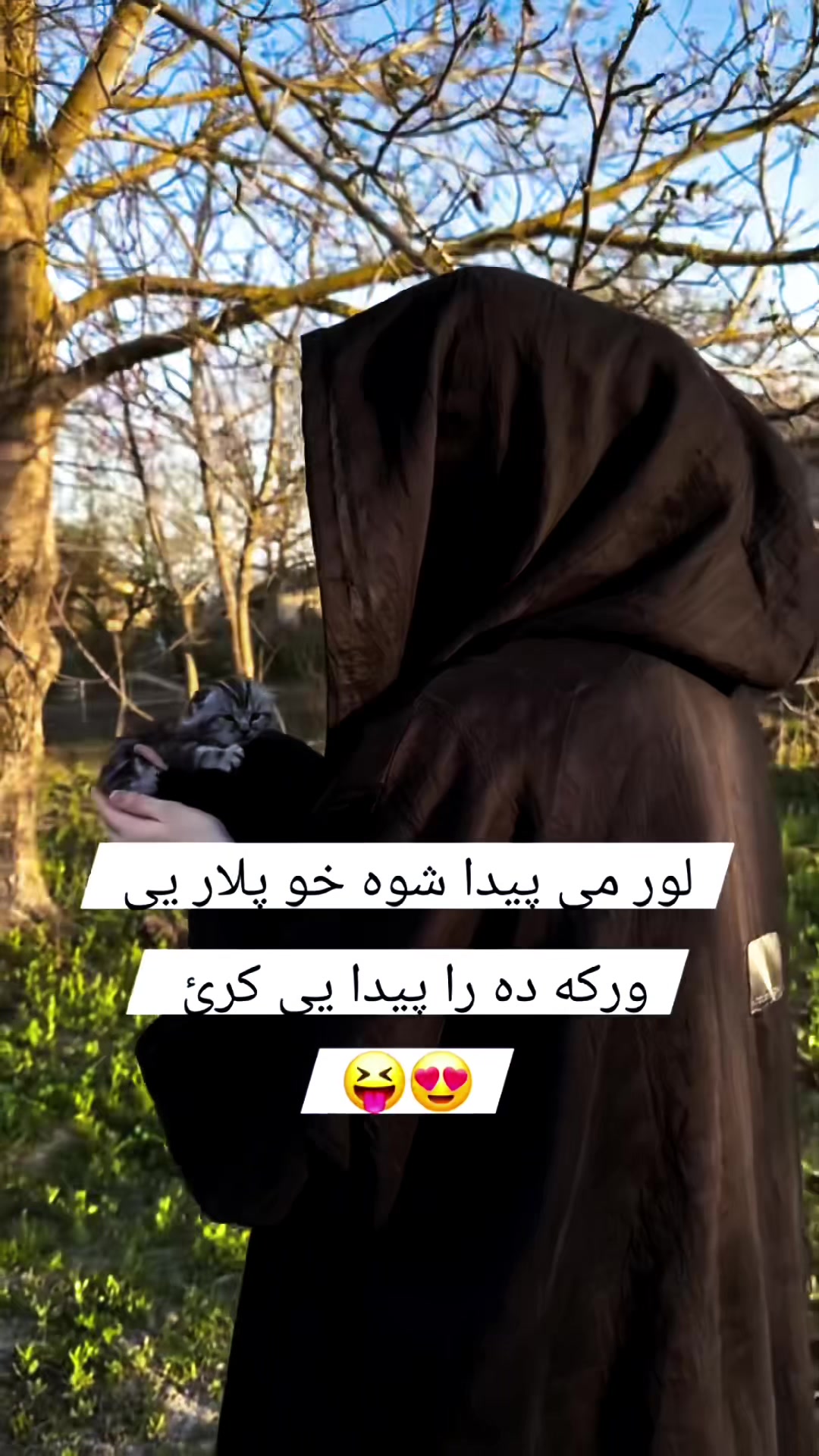 @💗QuۍN 🧚♀️ځلاnd🦋